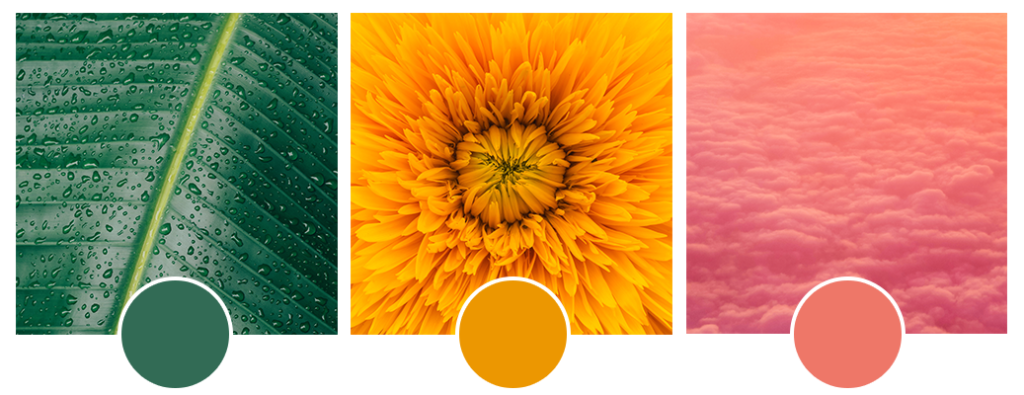 couleurs tendances